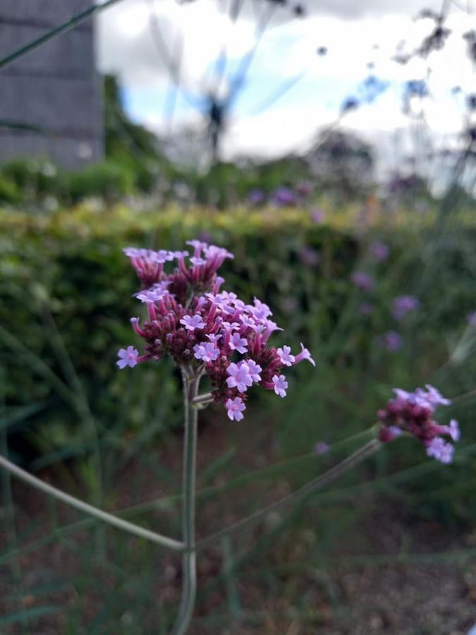 Le Jardin Des Fagnes Villa Robertville Ngoại thất bức ảnh