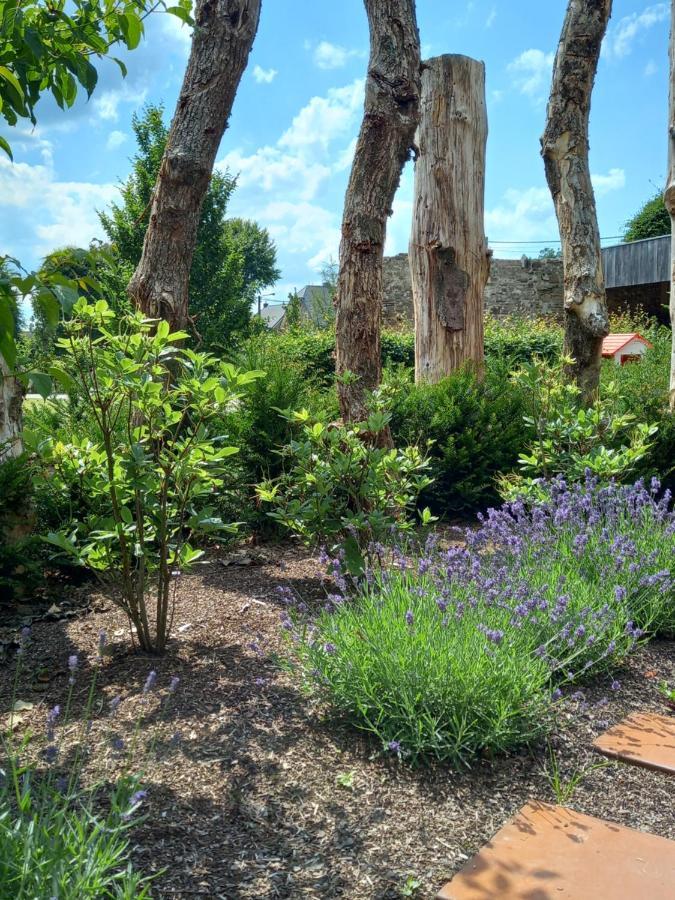 Le Jardin Des Fagnes Villa Robertville Ngoại thất bức ảnh